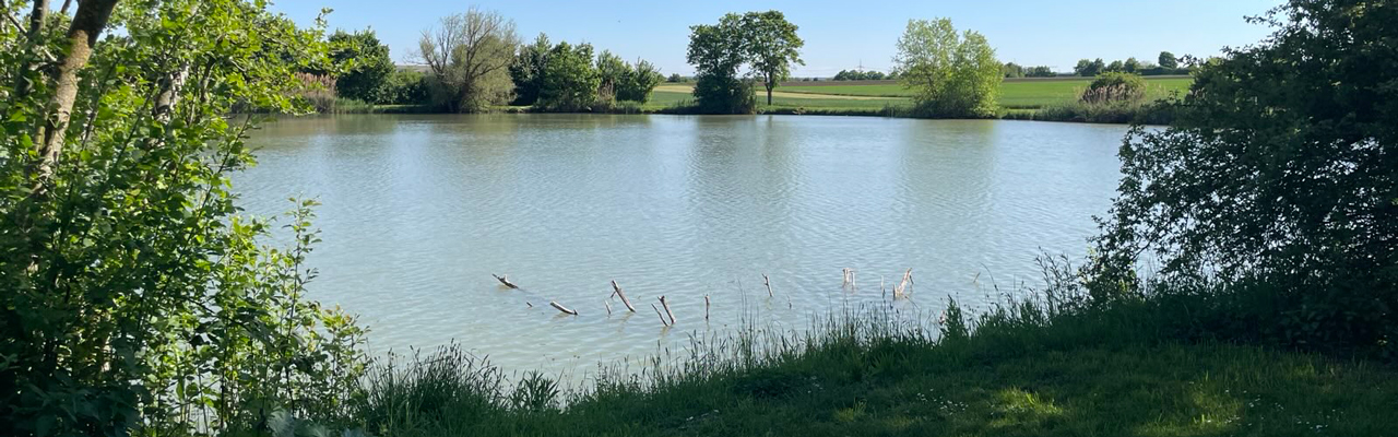 Ensinger See