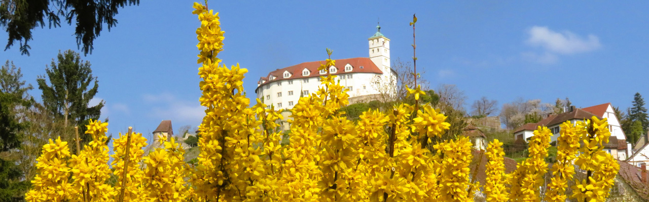 Schloss im Frühling